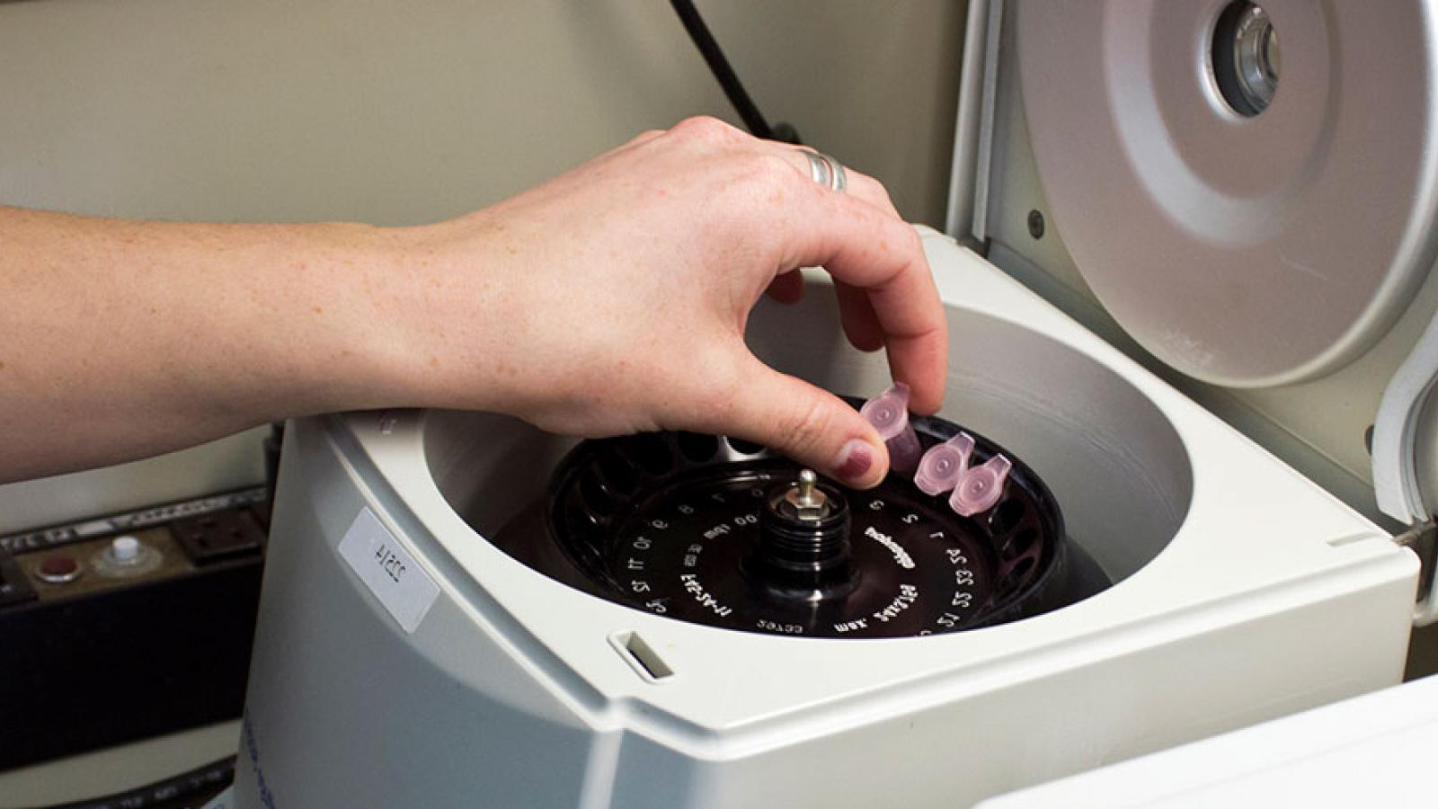 person using machine to test samples 